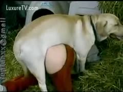 The woman on her hands and knees was a bitch.